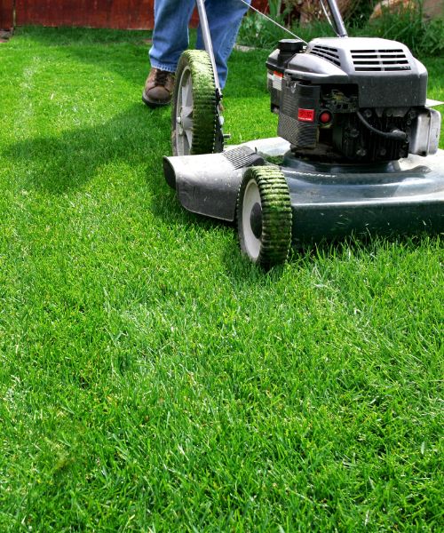 Lawn Care