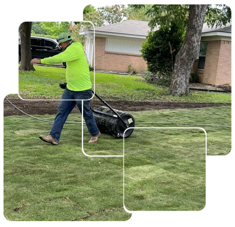 New Sod Installation in Lewisville, TX