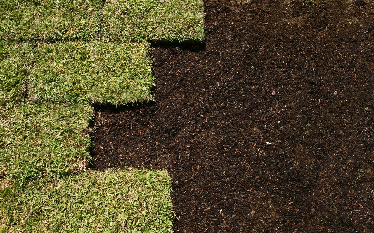 Step-by-Step Bermuda SOD Installation