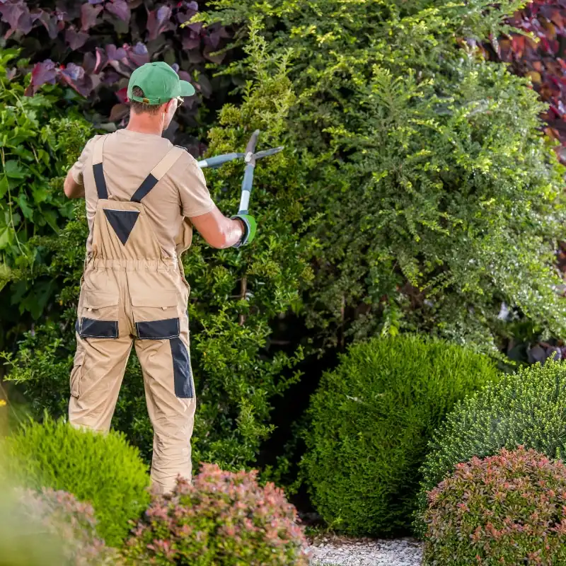 Expert Tree Trimming in Coppell, TX