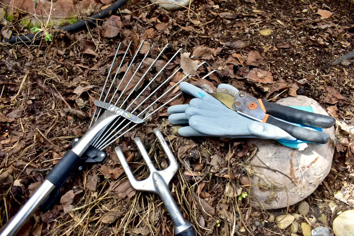 Essential tools for storm cleanup