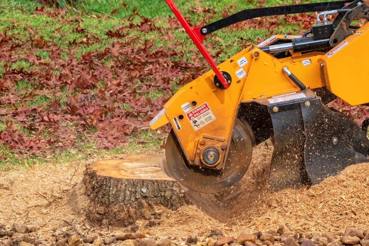 DIY Stump Grinding: When and How to Do It Right