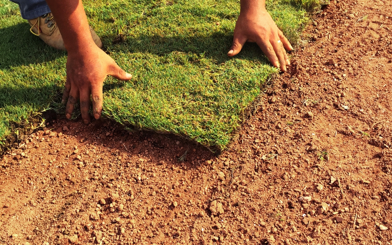 How to Install New Sod: A Step-by-Step Guide