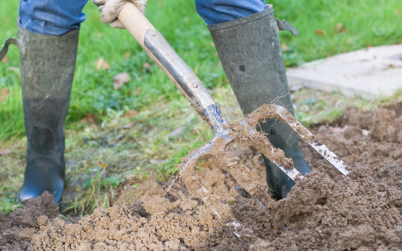 Soil preparation before laying sod.