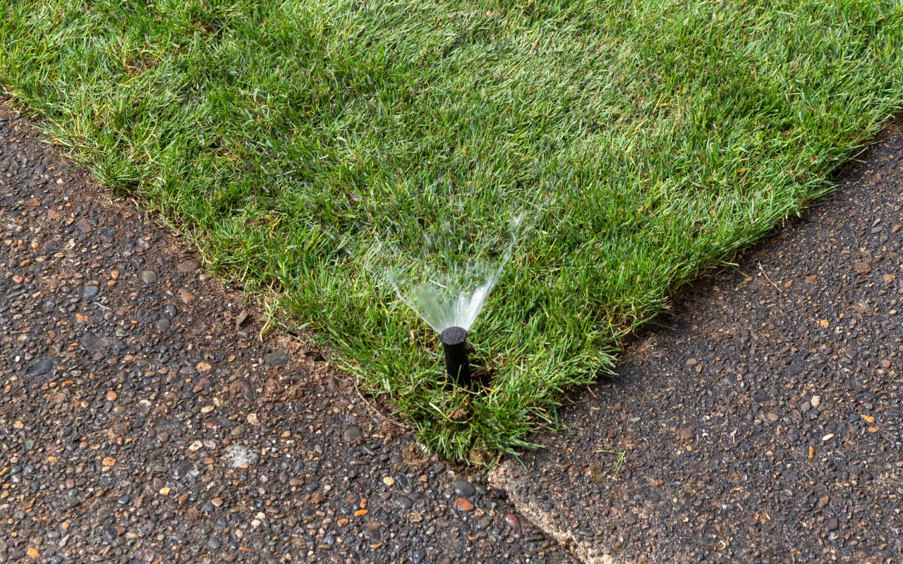 Watering a newly sodded lawn.