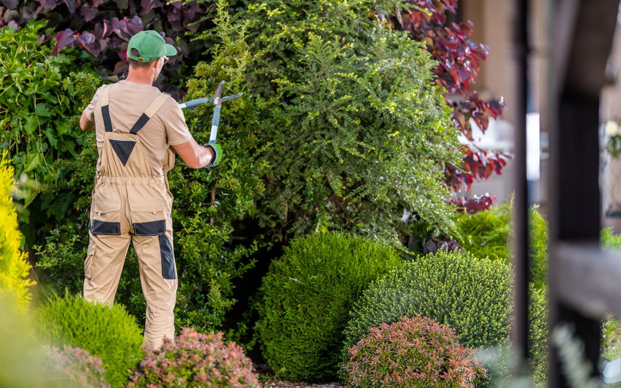 Why tree trimming for safety is essential