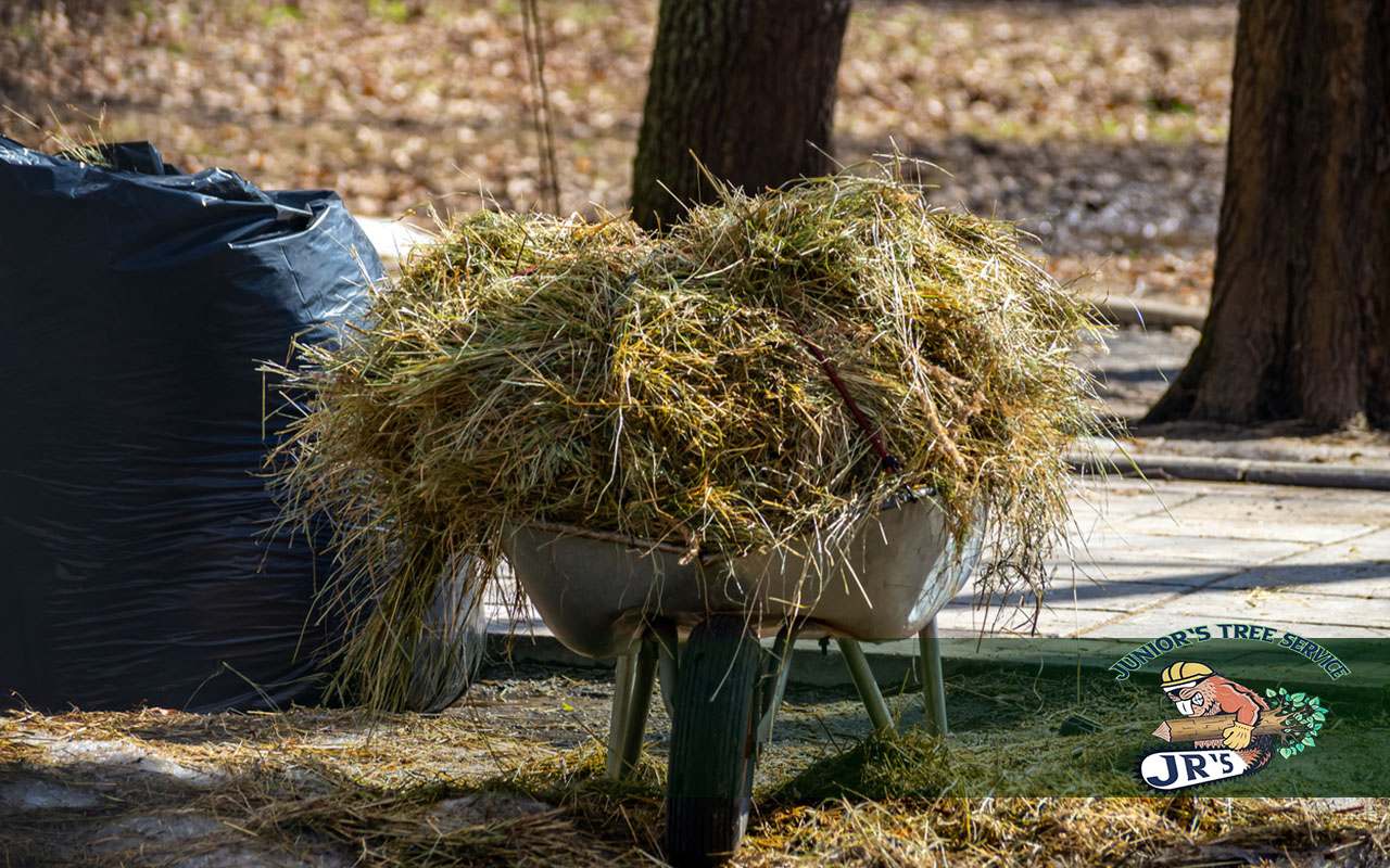 Essential Lot Clearing Tips for Property Owners