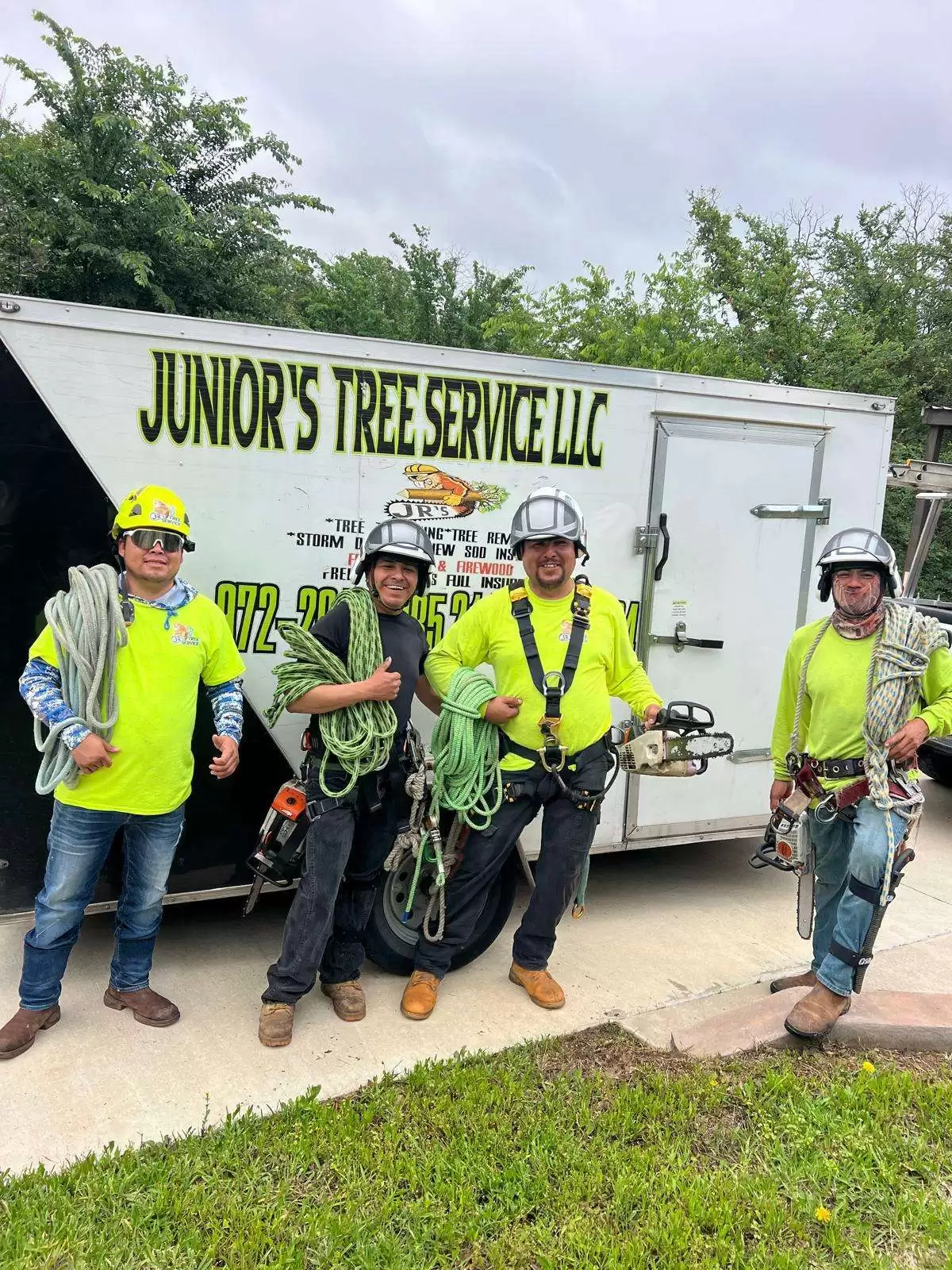 Why Regular Tree Maintenance is Essential for Property Safety in Coppell, TX